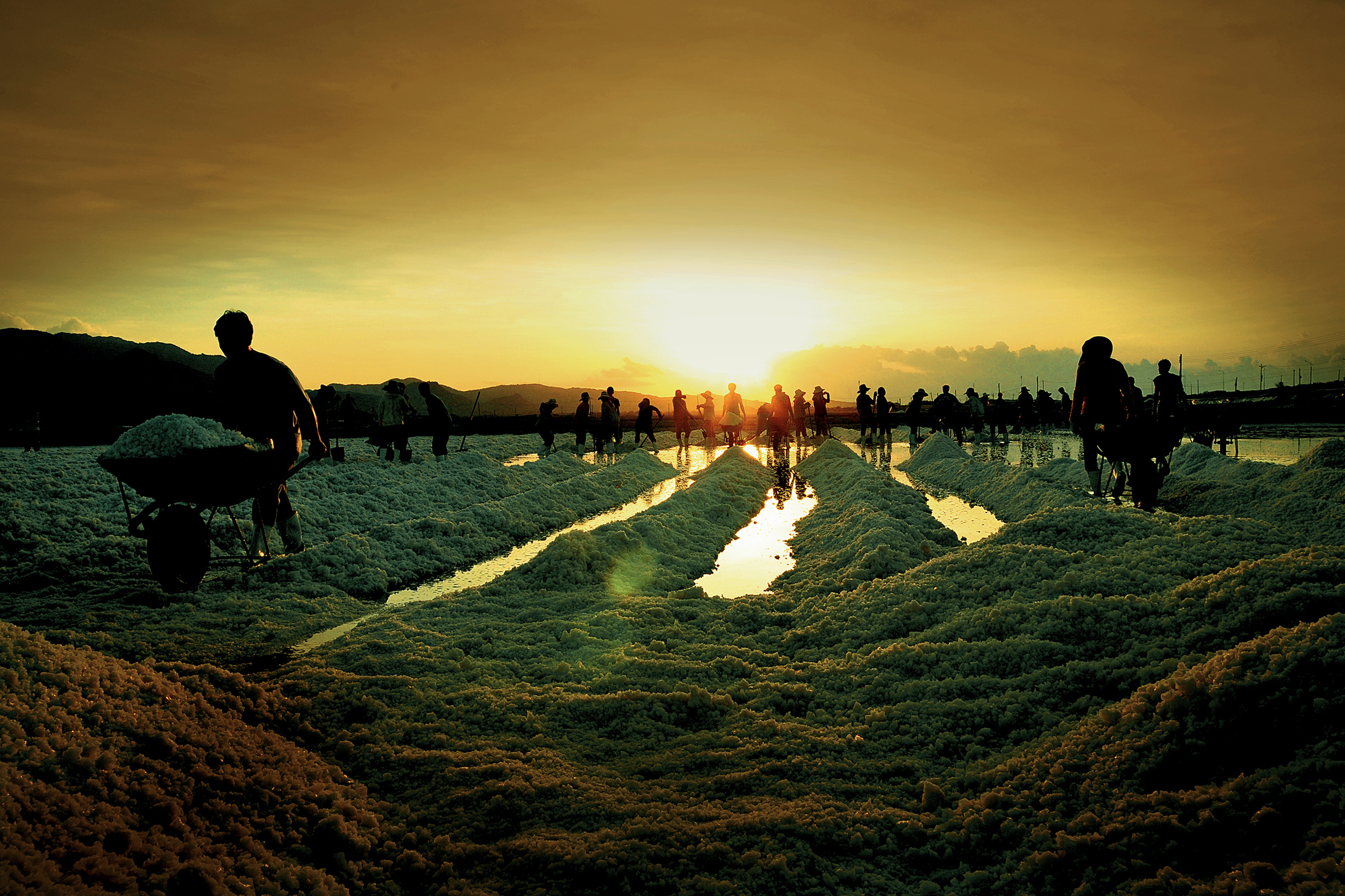 Vẻ đẹp của cánh đồng muối Đàm Vua Ninh Thuận